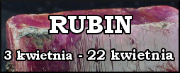 RUBIN od 3 kwietnia do 22 kwietnia