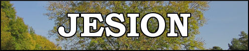JESION